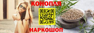Альфа ПВП Новозыбков