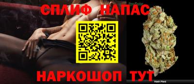 Альфа ПВП Новозыбков